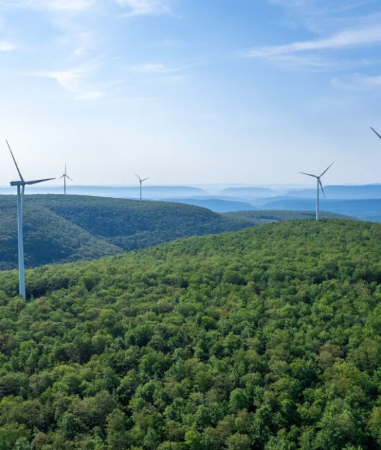 Il Presidente del Consiglio Giorgia Meloni interviene al World Future Energy Summit 2025 durante la Settimana della sostenibilità ad Abu Dhabi