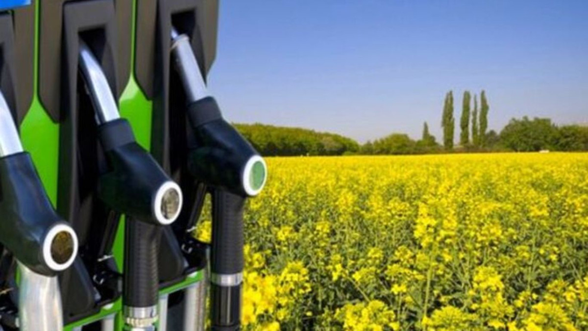 biocarburanti biofuel auto automotive europa