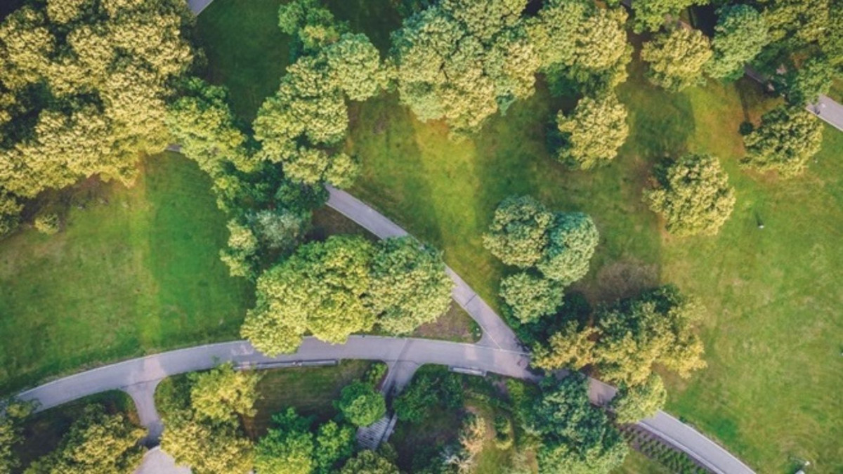 citta green enea isoledicalore caldo foresta verdeurbano