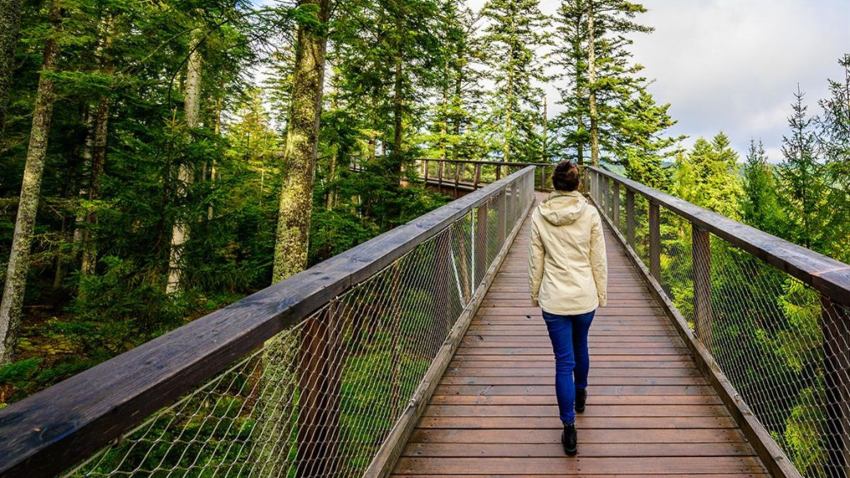 progetti life europa clima adattamento costi