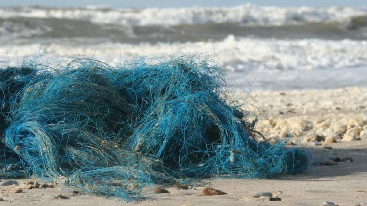 reti pesca mare inquinamento plastica raccolta gas idrogeno
