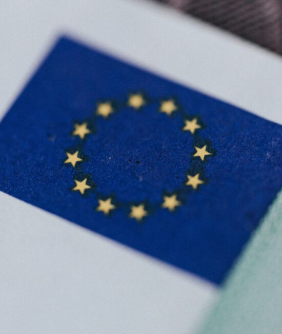 Grafico sugli aiuti di Stato dell’UE nel 2024 con focus su ambiente ed energia