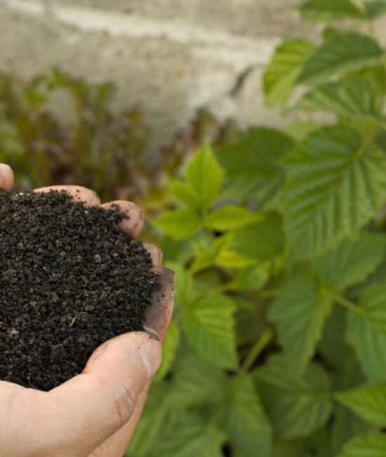 Convegno AssoBio a MARCA 2026 sul mercato del biologico nella GDO