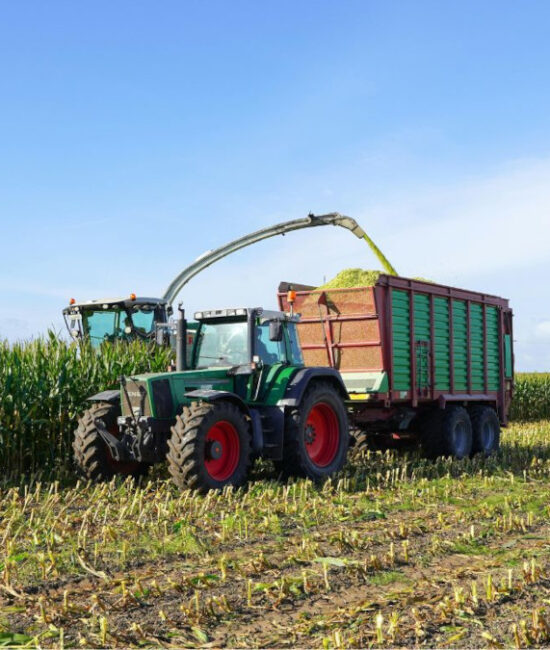 Deforestazione causata dalla coltivazione di soia per biocarburanti