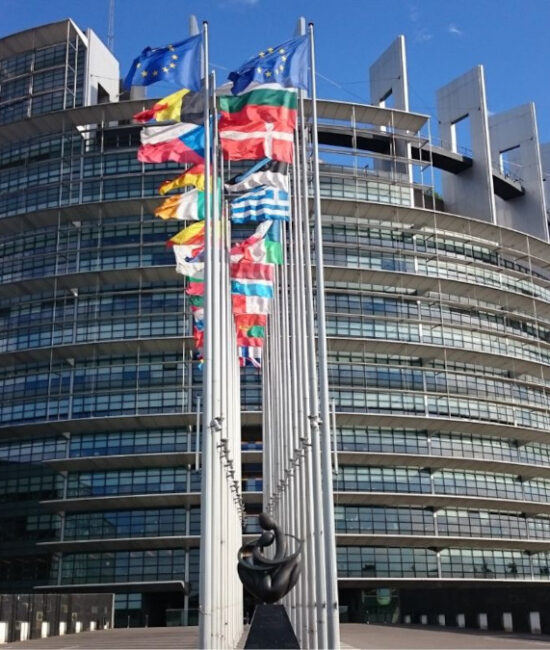 Manifestazione agricoltori a Strasburgo contro l’accordo Mercosur
