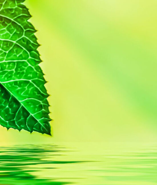 Produzione di biocarburanti in India alimentato da residui agricoli