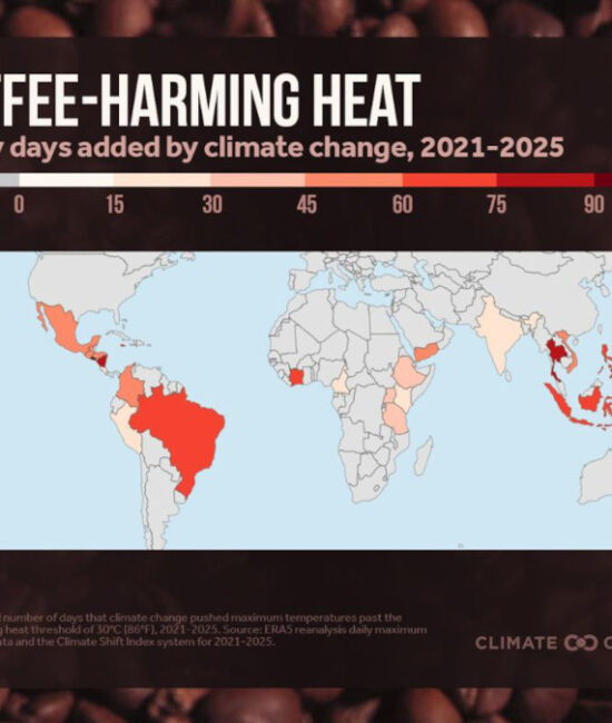Il cambiamento climatico incide sui Paesi produttori di caffè