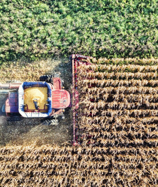 Confagricoltura e Coldiretti commentano il parere della Corte dei Conti sulla PAC