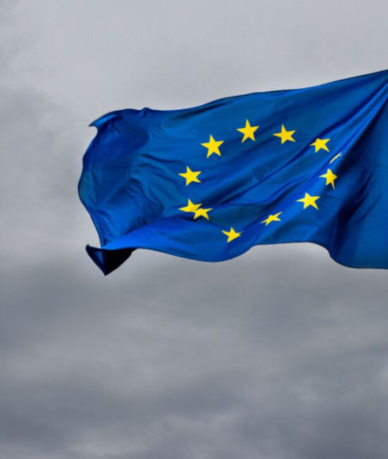 Gruppo di cittadini europei con bandiere dell’UE, clima e sicurezza tra le principali preoccupazioni