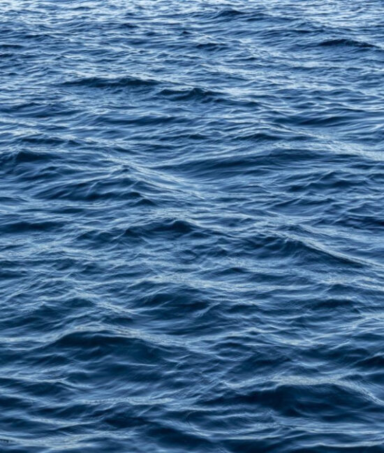 Comunità costiere e oceano al centro delle politiche di equità nella governance marina