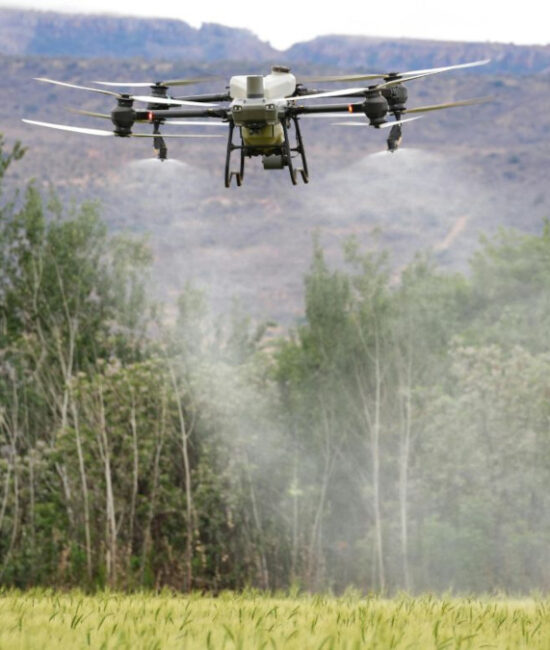 la Corte dei conti UE critica l’efficacia dei fondi PEI-AGRI per l’innovazione agricola