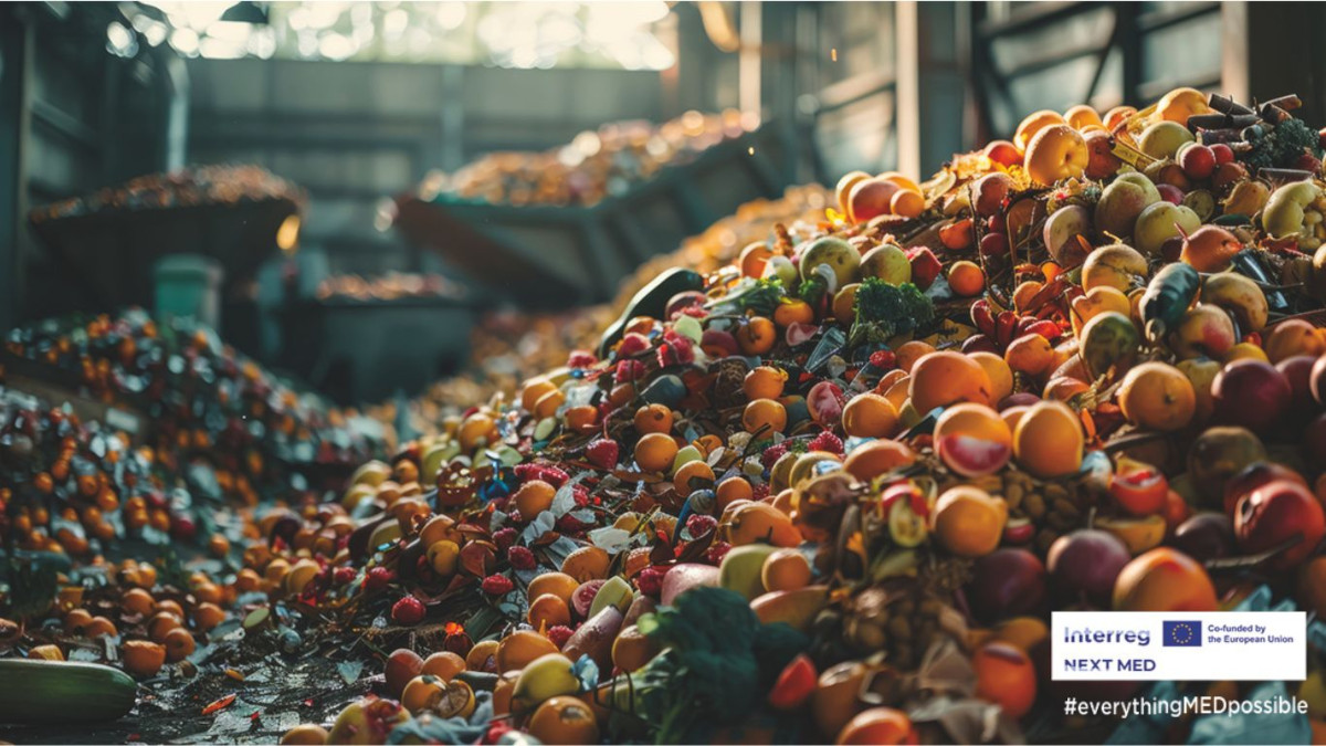 Sistema di compostaggio decentralizzato per la gestione sostenibile dei rifiuti organici nel progetto MEDWISE