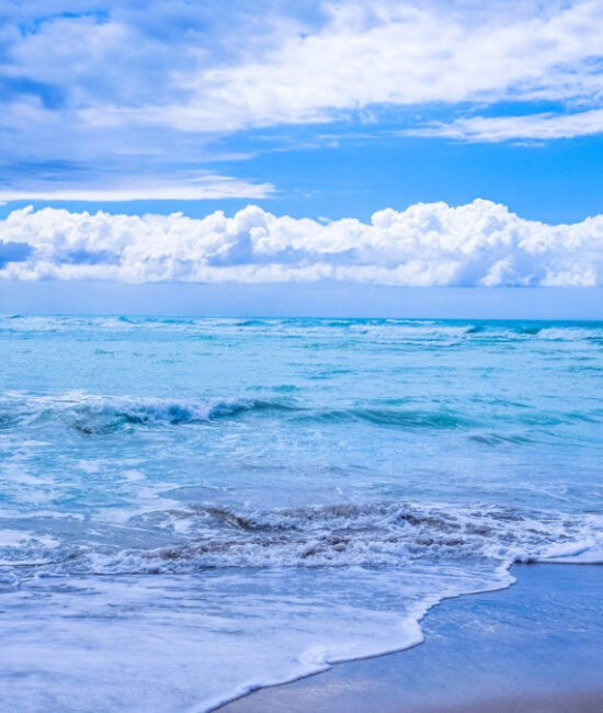 Superficie dell’oceano, simbolo del ruolo dei mari nell’assorbimento della CO2 secondo il nuovo rapporto UNESCO