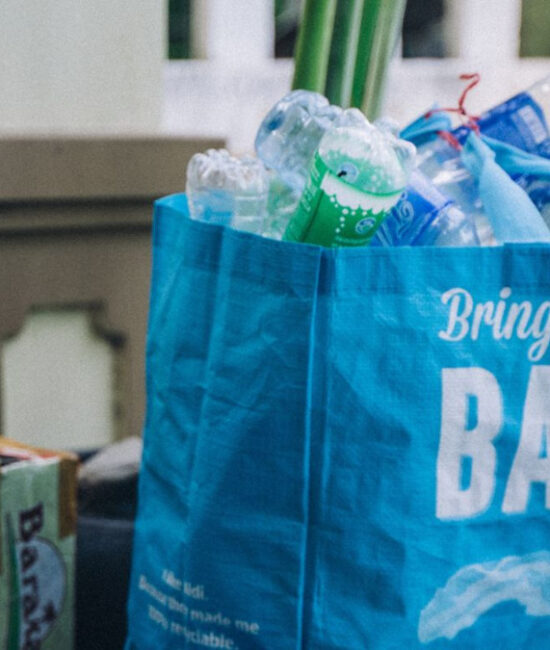 Mangiaplastica per la raccolta selettiva delle bottiglie in plastica PET