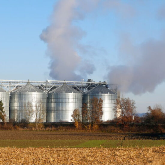 Campi agricoli e allevamenti sostenibili per ridurre le emissioni di metano