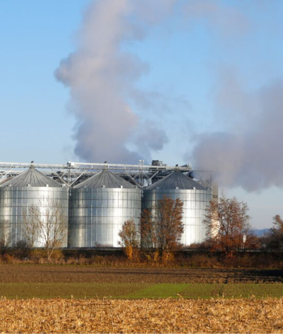 Campi agricoli e allevamenti sostenibili per ridurre le emissioni di metano