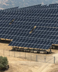 Impianto agrivoltaico Enna