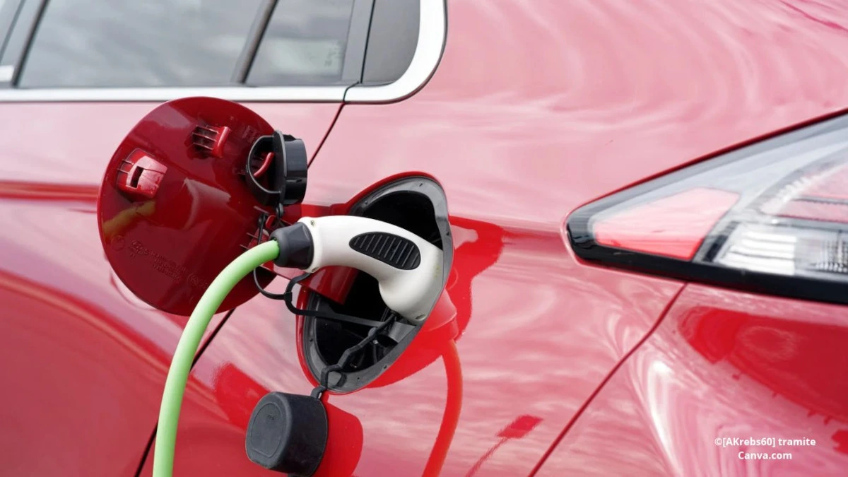 Auto elettriche aziendali