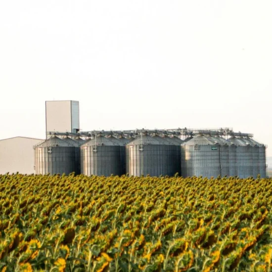bioeconomia