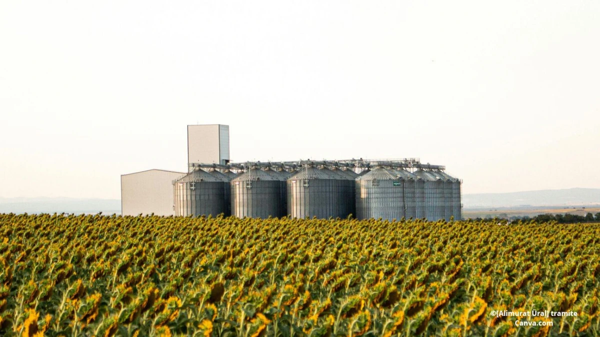 bioeconomia