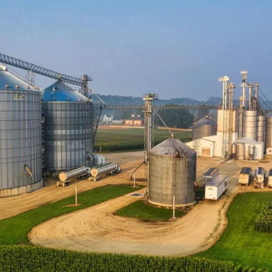 Bioeconomia riciclo rifiuti