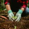 terreno coltivato, simbolo della qualità alimentare dalla produzione alla tavola