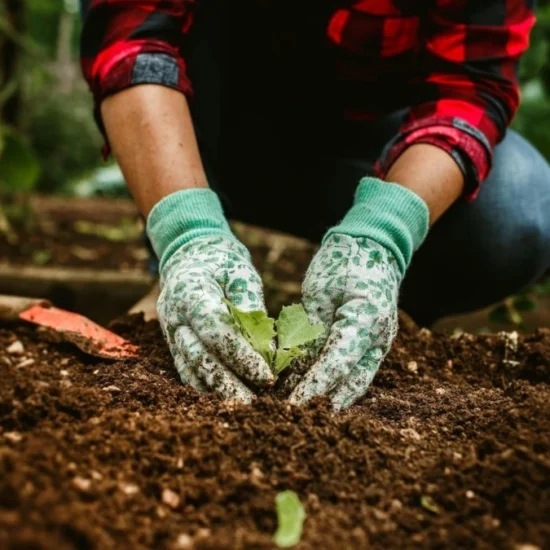terreno coltivato, simbolo della qualit&agrave; alimentare dalla produzione alla tavola