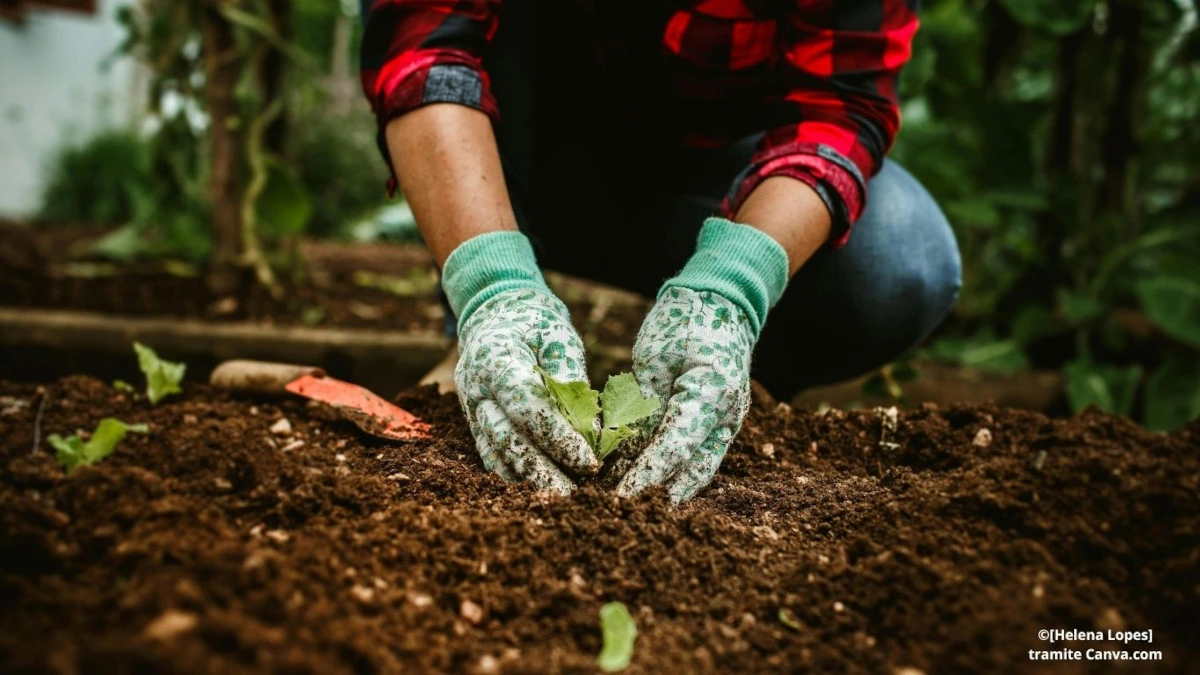 terreno coltivato, simbolo della qualità alimentare dalla produzione alla tavola