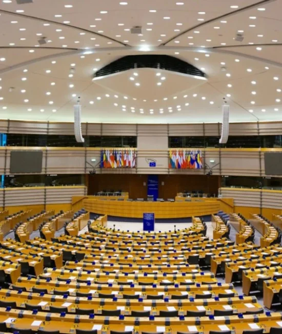 COP31 parlamento europeo