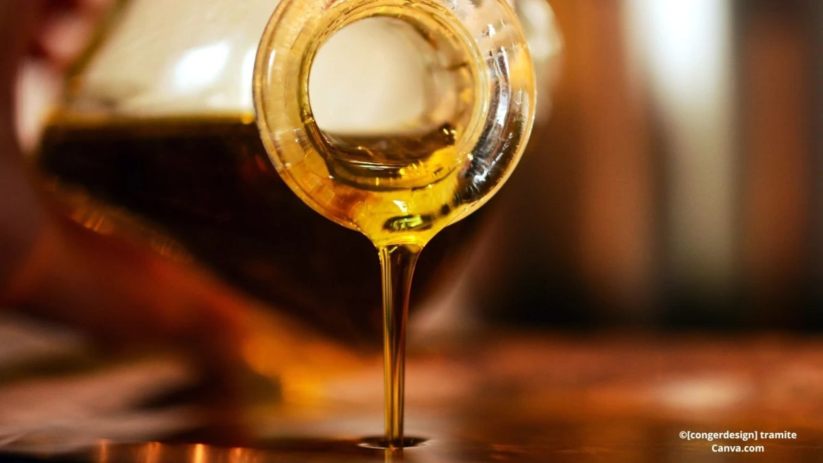 olio vegetale usato