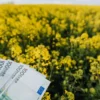 PPE sulla Politica agricola comune