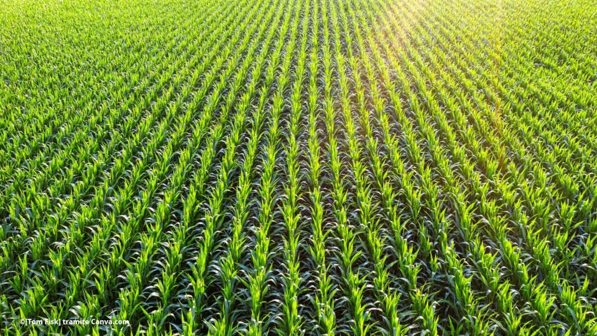 dichiarazione di Stoccolma agricoltura